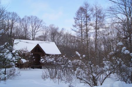 雪国の別荘
