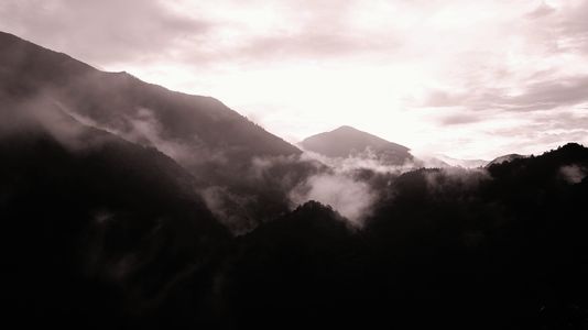 おはようございます。