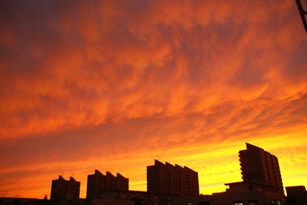 不気味なくらい鮮やかな夕焼け