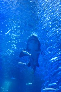 じゃーじゃん　じゃーじゃん　じゃじゃじゃ