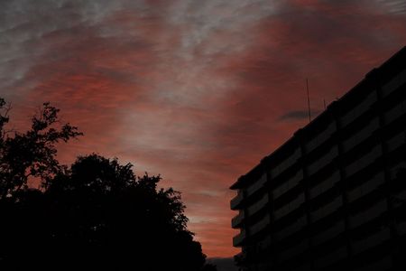 11月11日の「朝焼け」を、カシャッです。