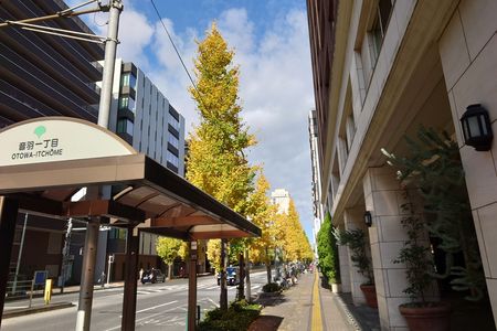丸ノ内線「茗荷谷駅」から、「音羽」で街歩きです。