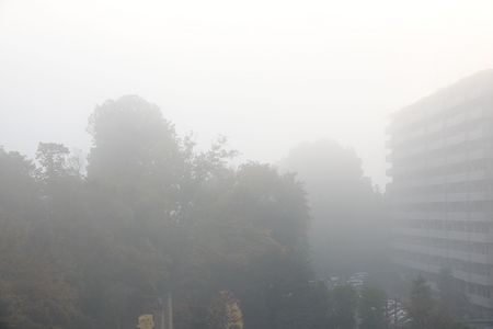 「濃霧」を、カシャッです。ちょっと、工夫して撮影しました。