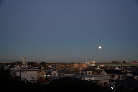 朝の散歩道。12月5日は、「満月(大潮)」でした。