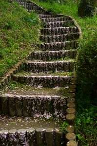 落花の階段