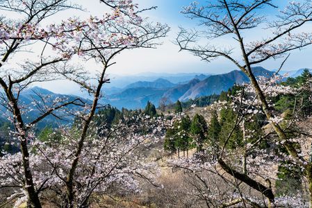 妙義山にも春が