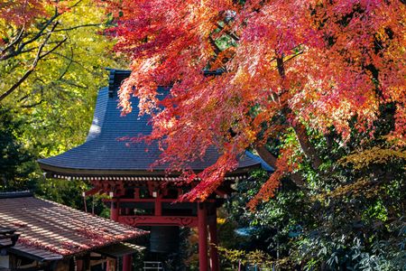 秋を感じる榛名山