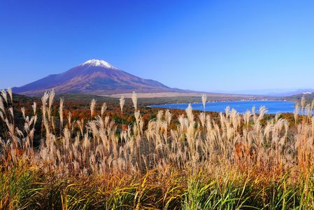 晩秋富士！：P2