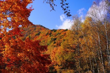 錦秋の西沢渓谷！：P1