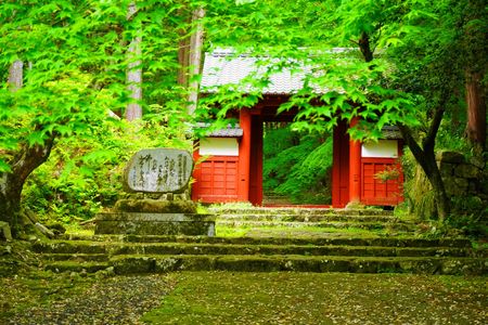 新緑に包まれた山門！：百済寺