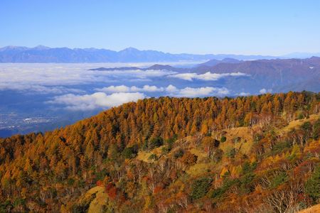 錦秋に染まる！