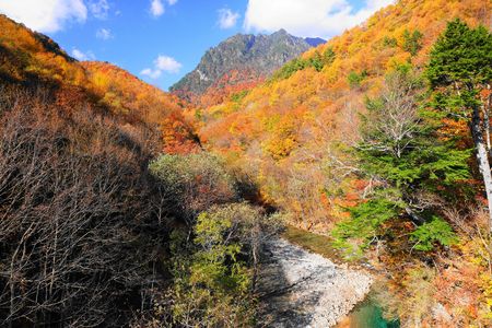 錦秋！：西沢渓谷：P2