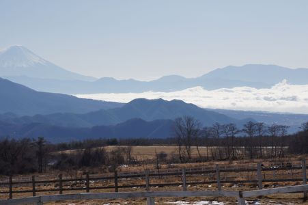 雲海　とある牧場から