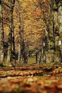 上から下まで秋色まみれに！