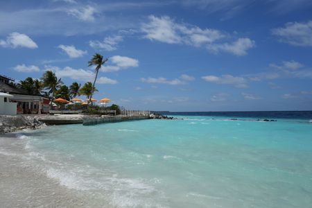 モルディブの海