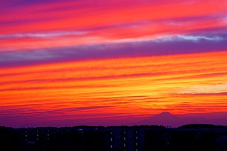 諦めかけた、その時（２）