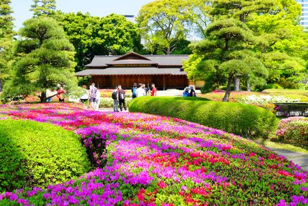 東京駅から徒歩20分で散策できる日本庭園、『皇居東御苑』