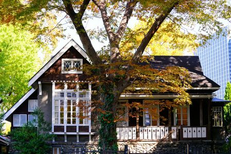 紅葉前線南下中