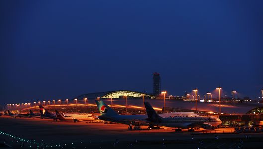 Night　Airport