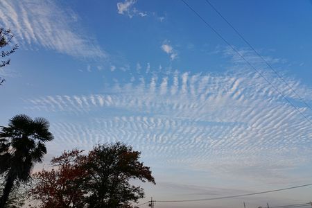 ウロコ＋オマケ