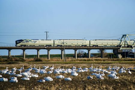 見て見て！”四季島”だよ～