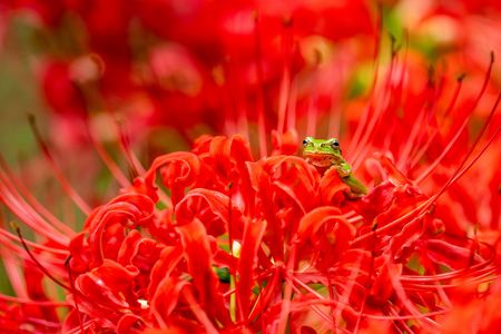 可愛い秋見つけた