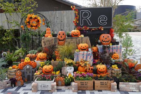 ハロウィーン🎃