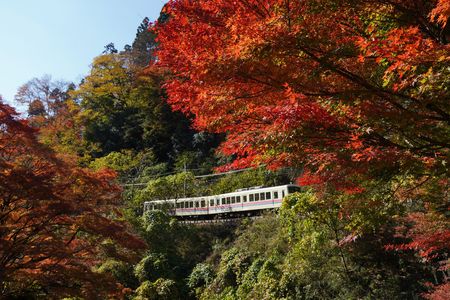 京の紅葉巡り　その1