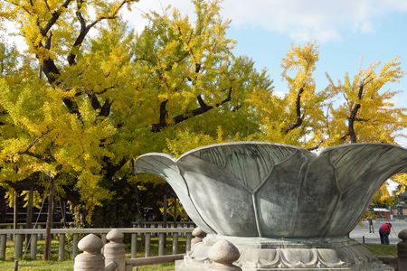 京の紅葉巡り　その3