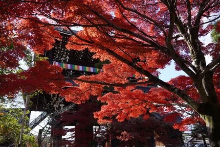 京の紅葉巡り　その4