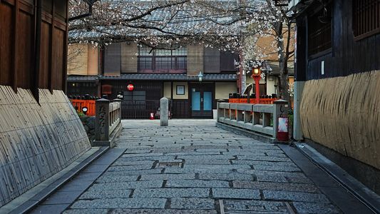 祇園新橋　咲き始めの桜