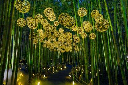 竹灯り