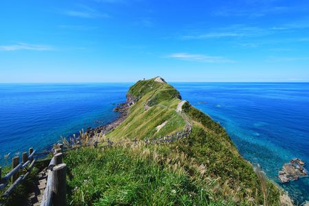 シャコタンブルー