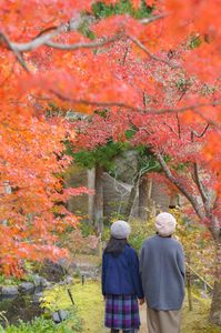 けいはんな記念公園にて