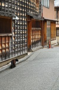 金沢 東茶屋街 猫