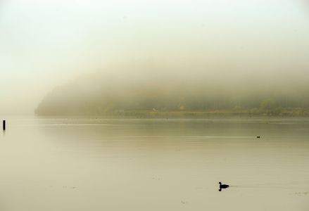朝霧の余呉湖