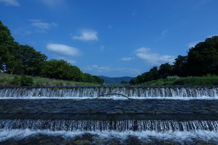 夏の賀茂川