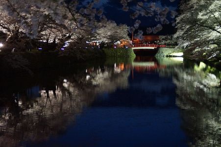 米沢上杉神社の夜桜ライトアップ