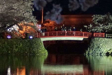 菱門橋で夜桜鑑賞する人々