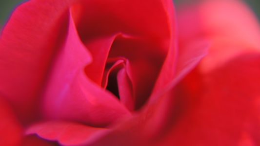 レッドベルベット