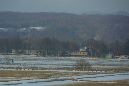 冬の馬牧場