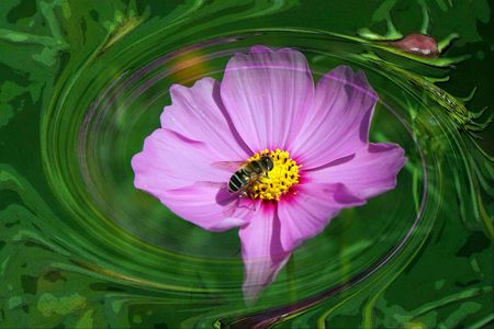 秋、撮り歩き三景、