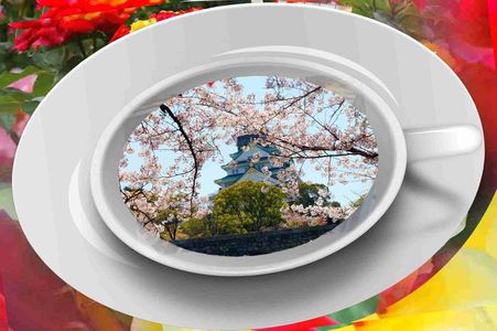 大阪城、桜🌸散歩、三景、