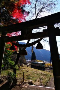 秋の長良川鉄道