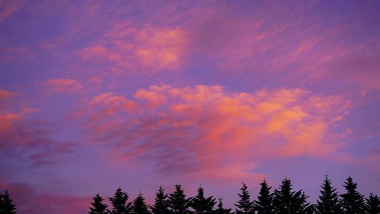 五七五　川柳調タイトル募集中です