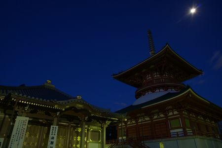 夜の成田山新勝寺　醫王殿と平和大塔と月