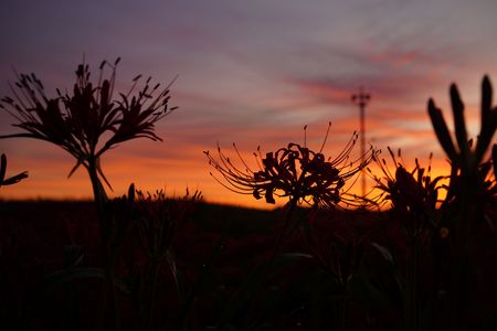 夜明けの矢勝川