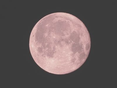 ピンクムーン　満月