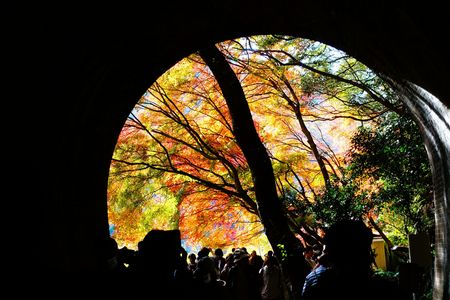 トンネルを抜けるとそこは紅葉の楽園だった