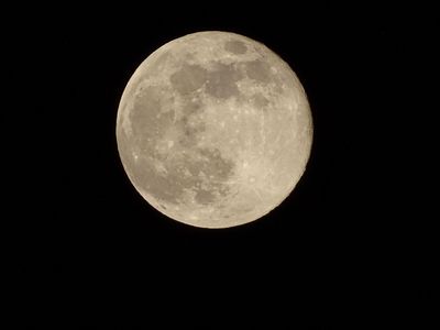 12/5 今夜は満月　(コ-ルドム-ン)